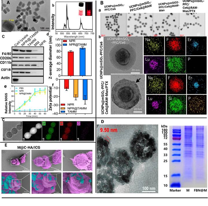Theranostics Image