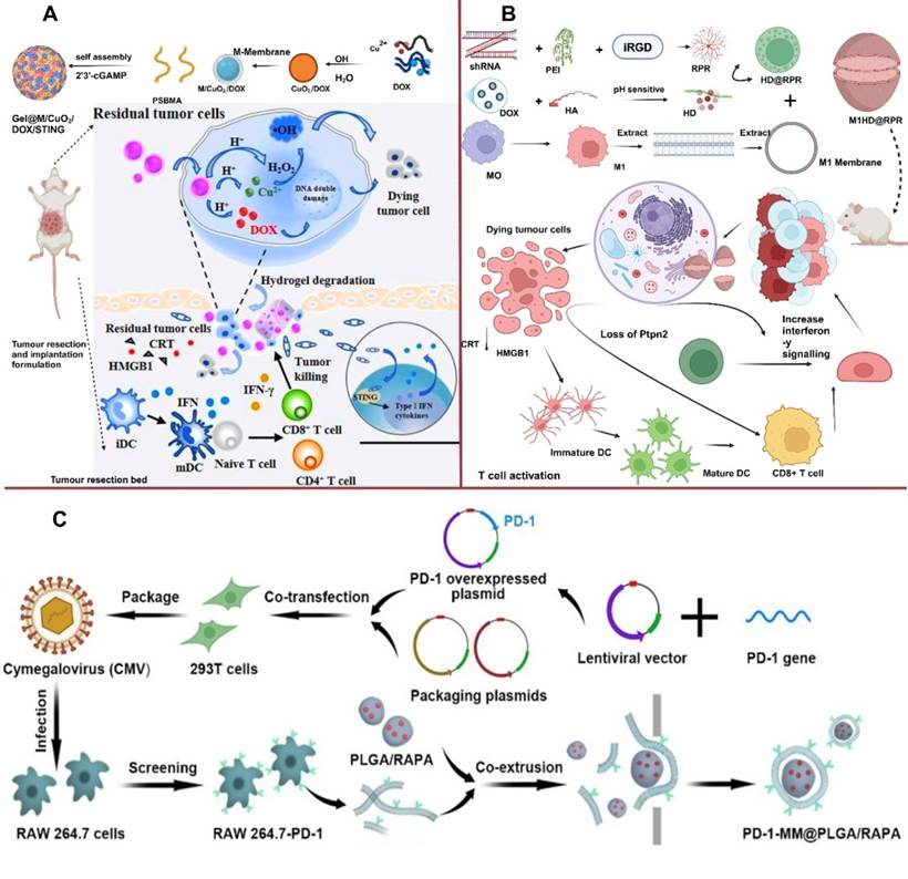 Theranostics Image