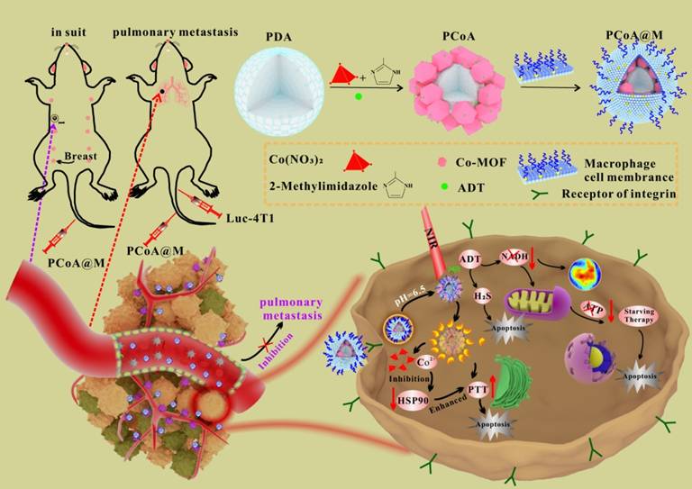 Theranostics Image