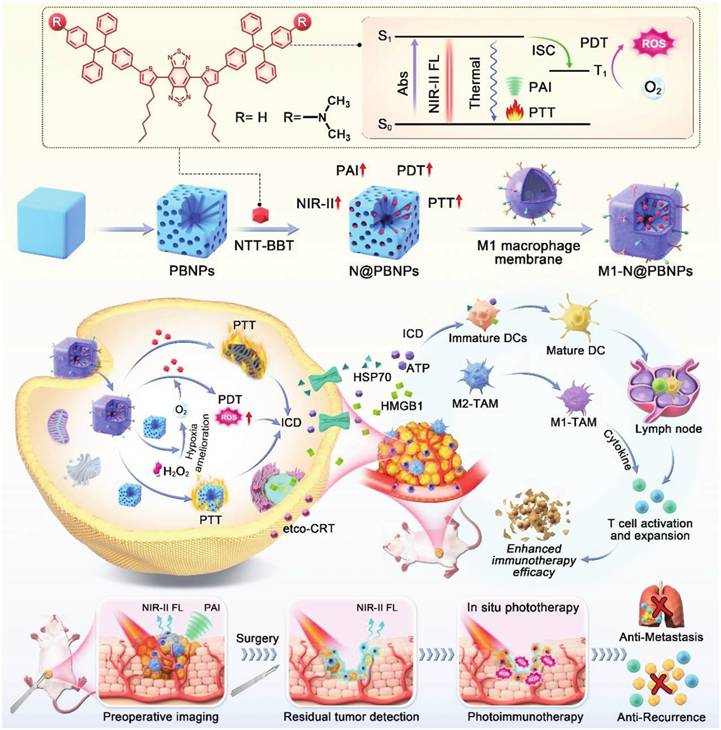 Theranostics Image