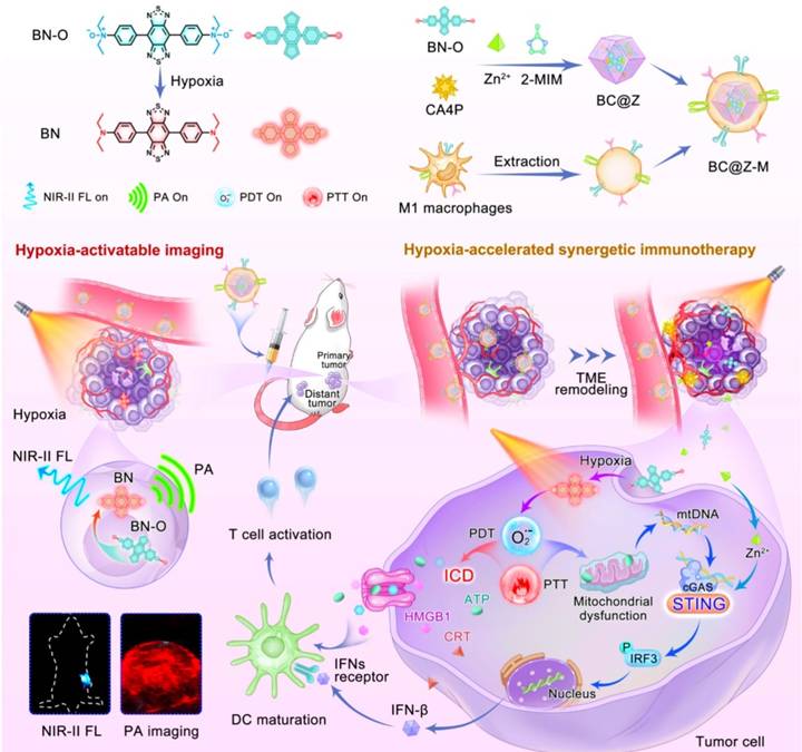 Theranostics Image