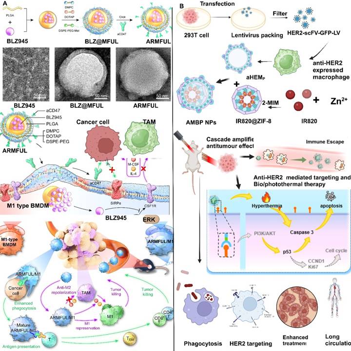 Theranostics Image