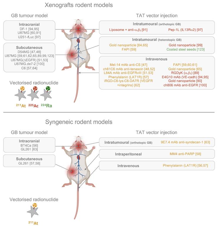 Theranostics Image