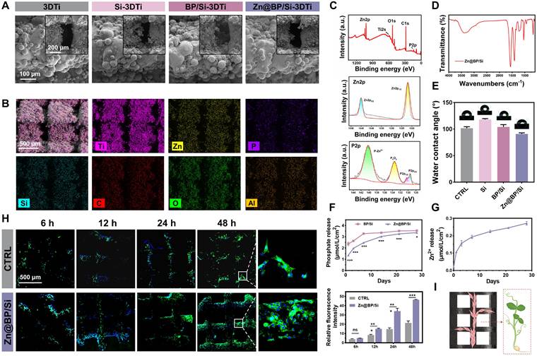 Theranostics Image
