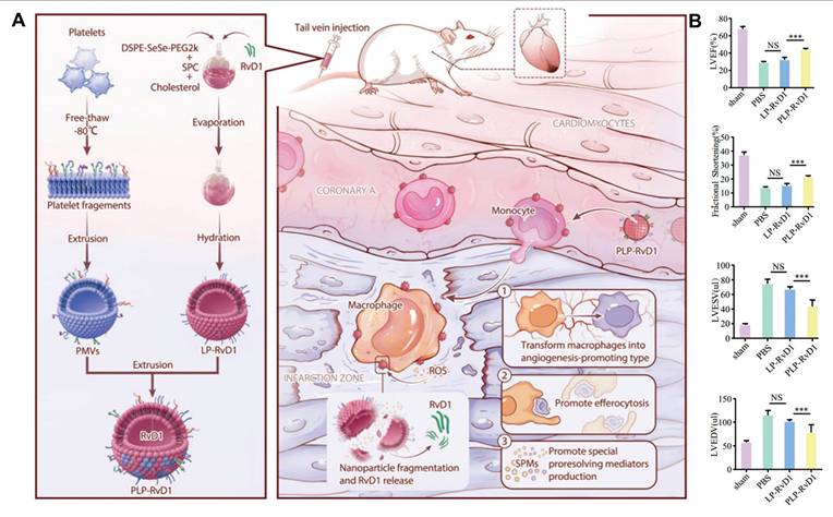 Theranostics Image
