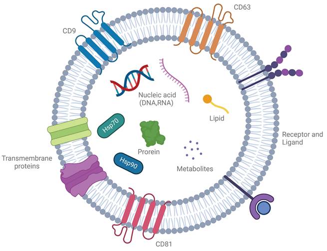 Theranostics Image
