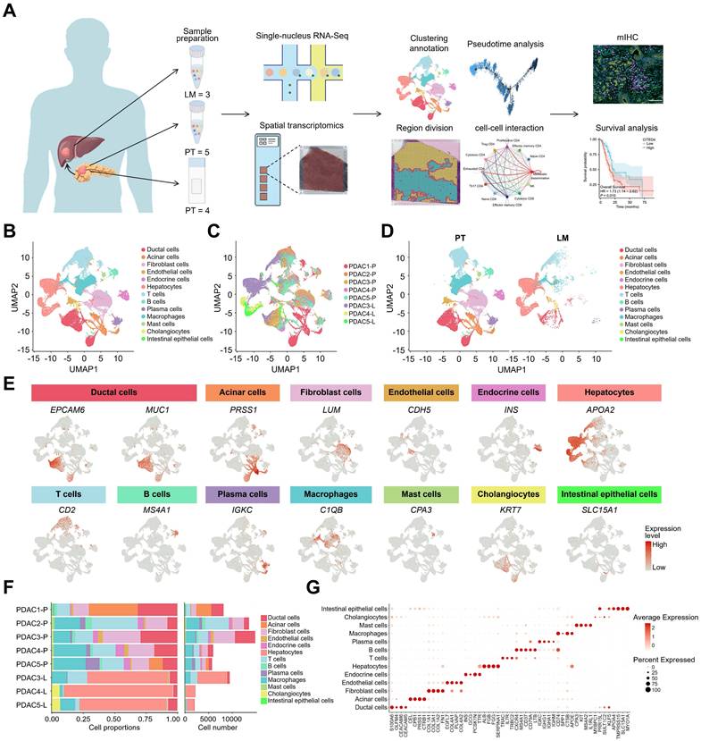 Theranostics Image
