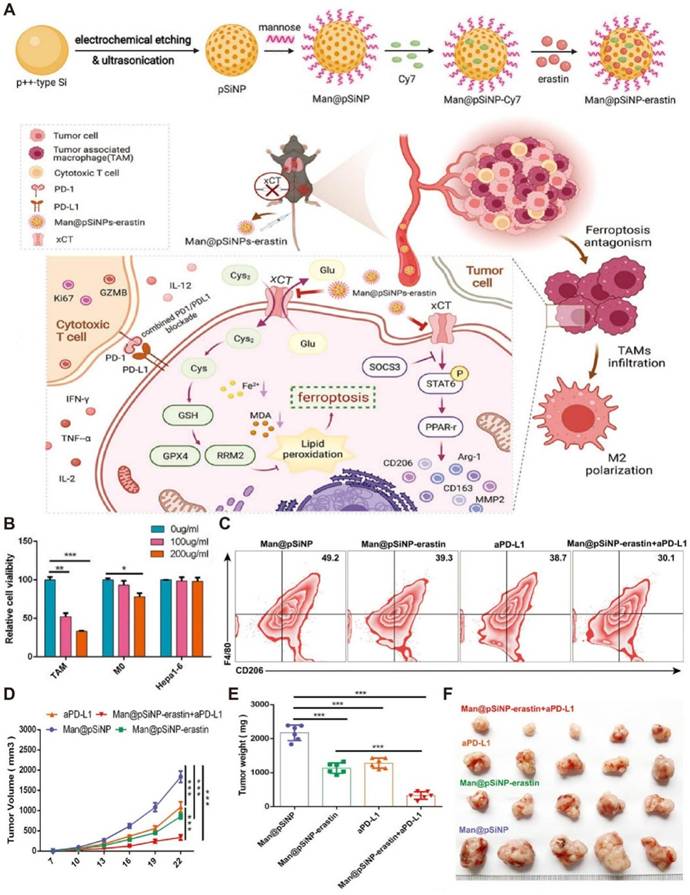 Theranostics Image