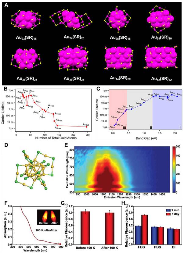 Theranostics Image
