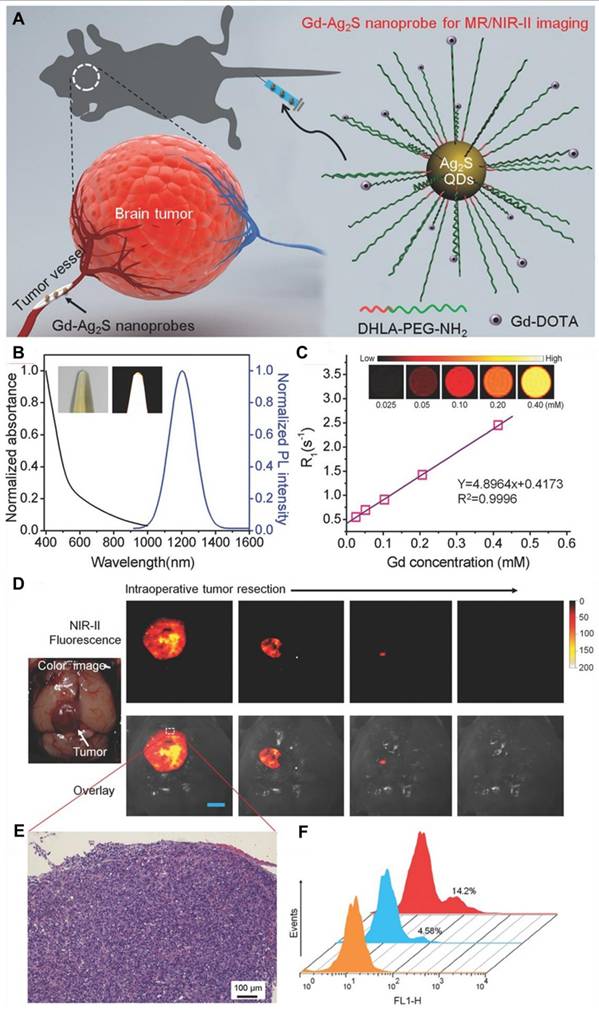 Theranostics Image
