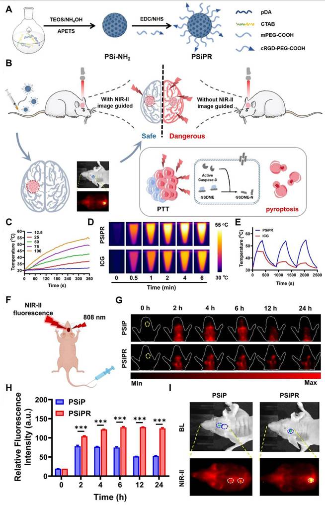 Theranostics Image