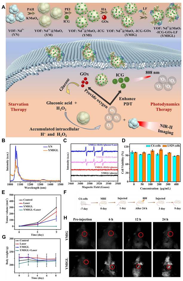 Theranostics Image