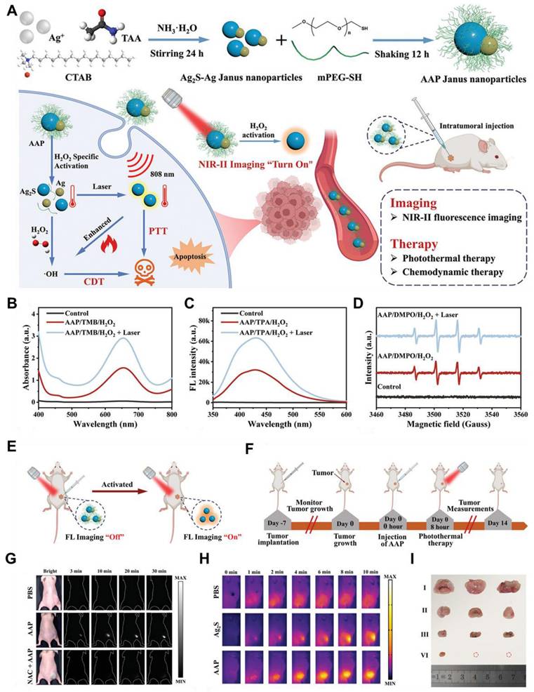 Theranostics Image