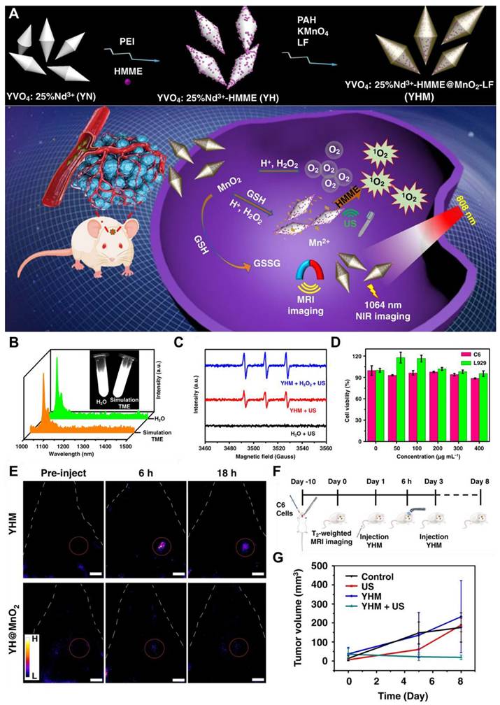 Theranostics Image