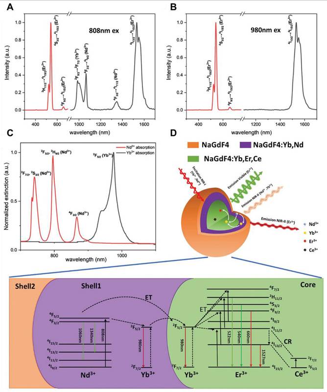 Theranostics Image