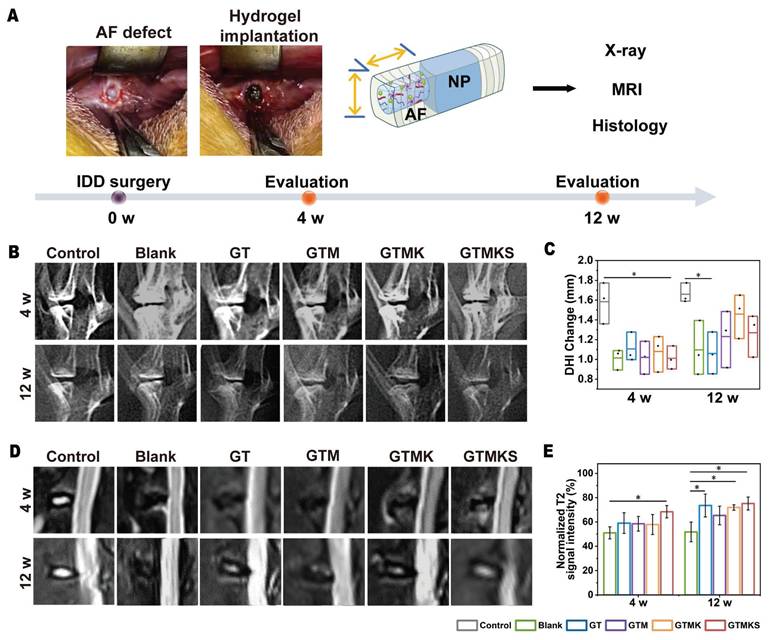 Theranostics Image