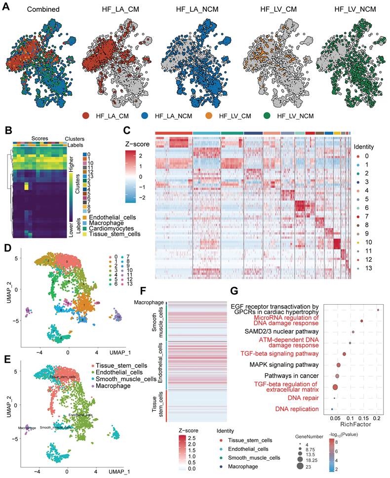 Theranostics Image