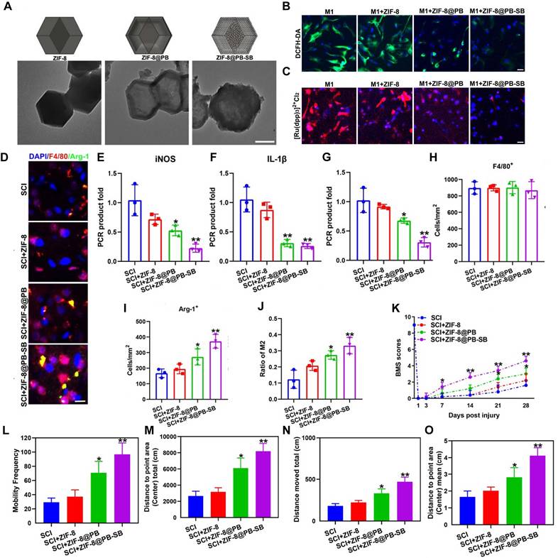 Theranostics Image