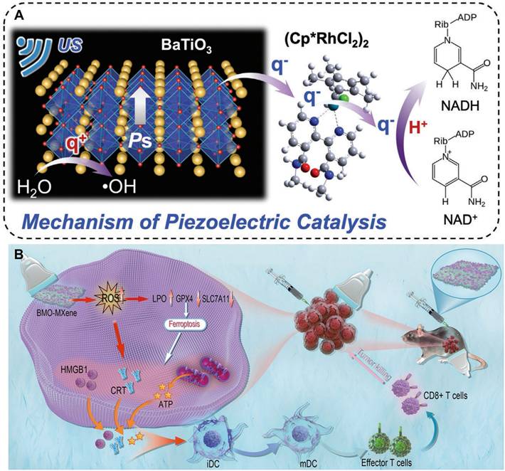 Theranostics Image