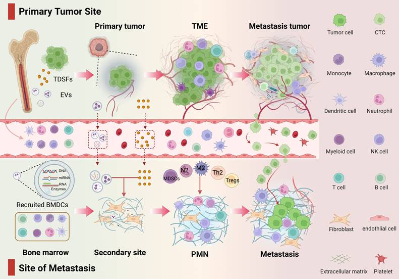 Theranostics Image