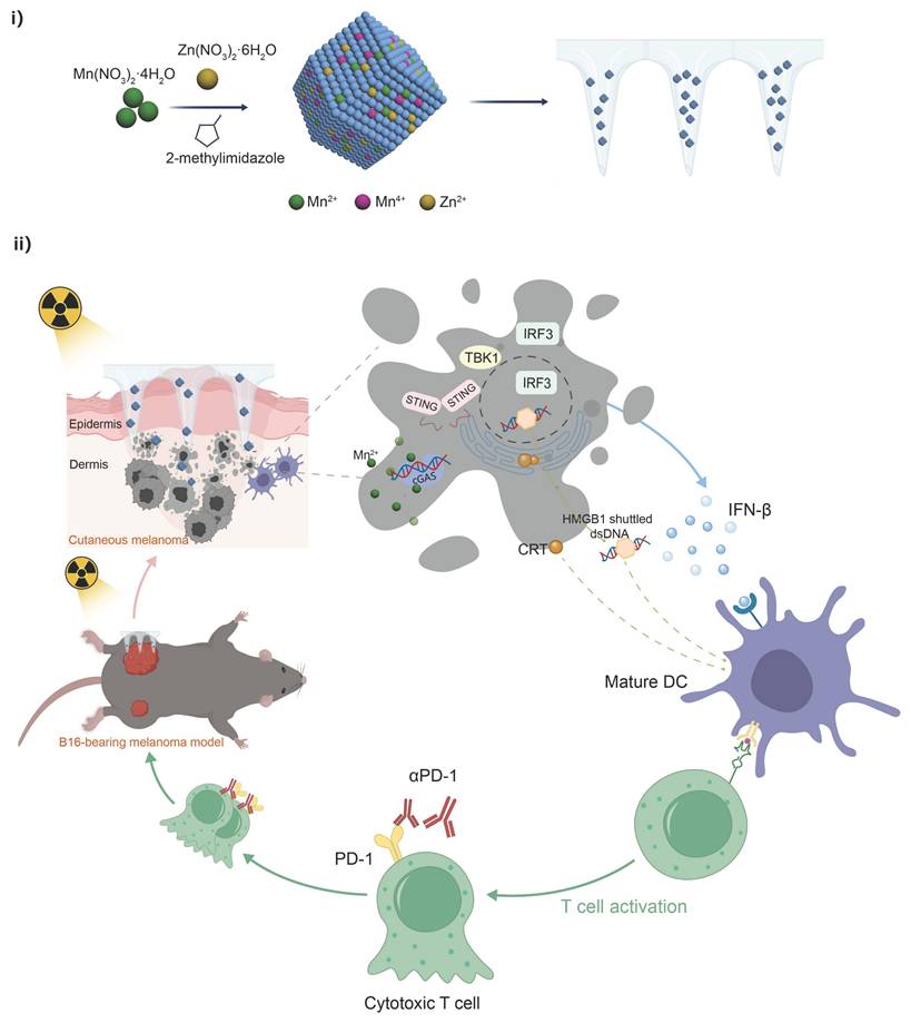Theranostics Image