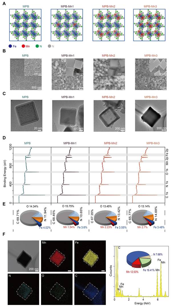 Theranostics Image