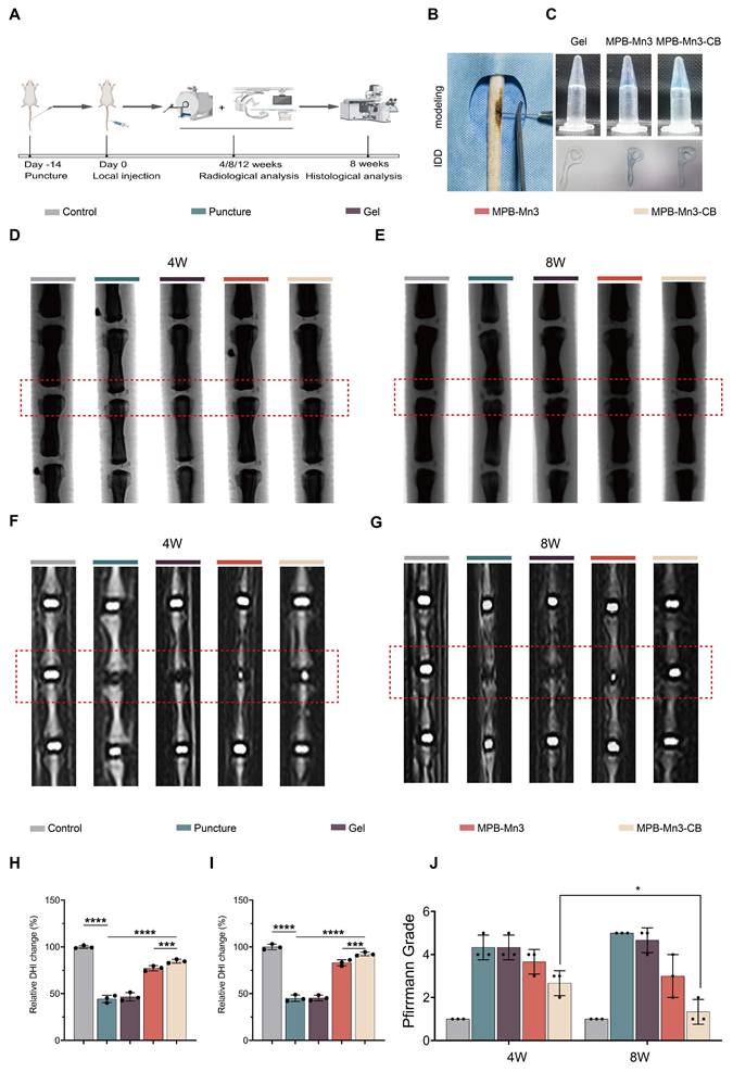 Theranostics Image