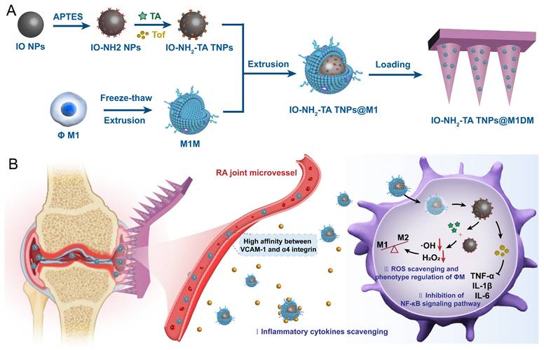 Theranostics Image