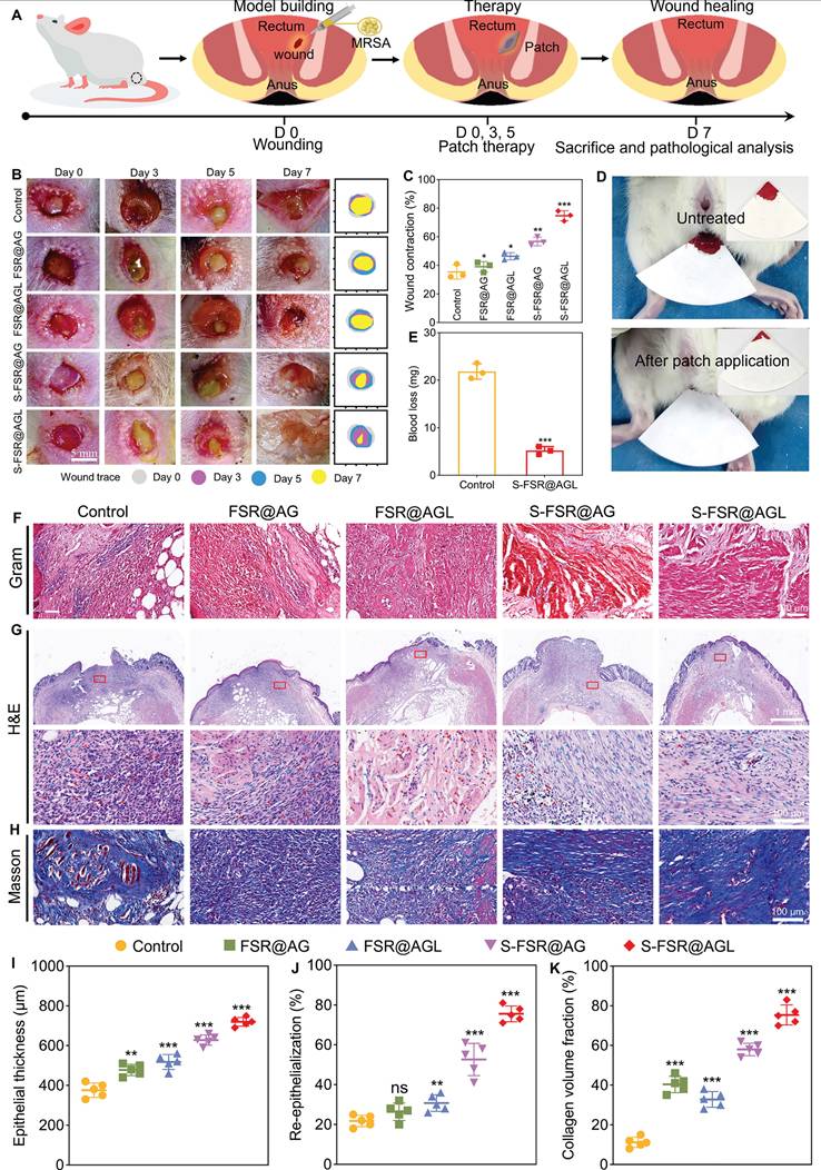 Theranostics Image