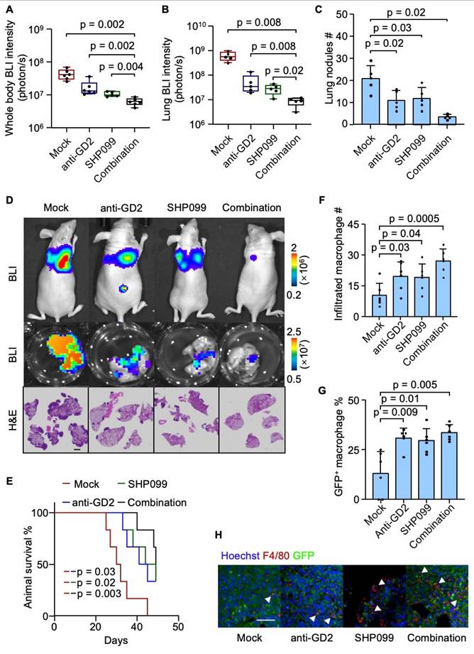 Theranostics Image