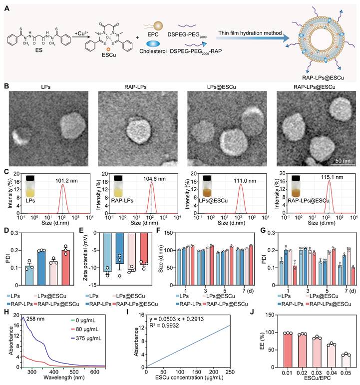 Theranostics Image