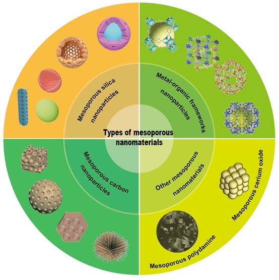 Theranostics Image
