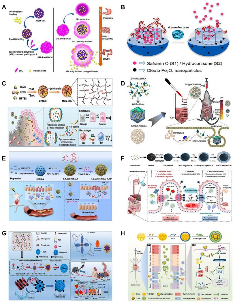 Theranostics Image