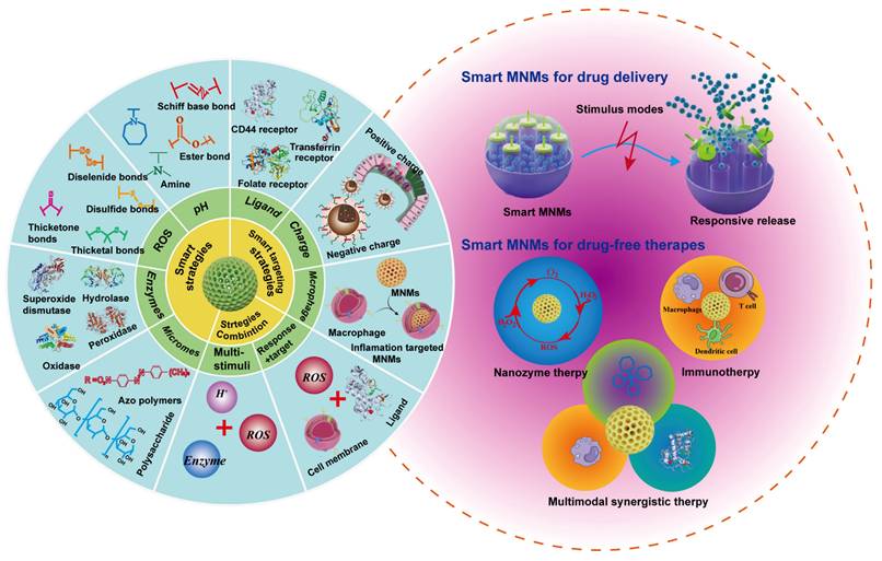 Theranostics Image