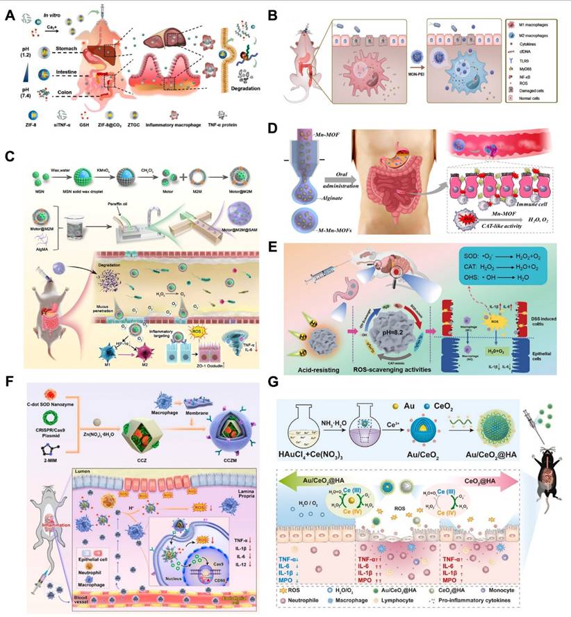 Theranostics Image