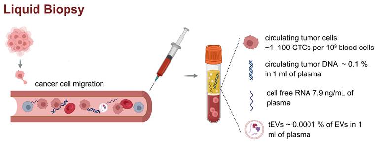 Theranostics Image