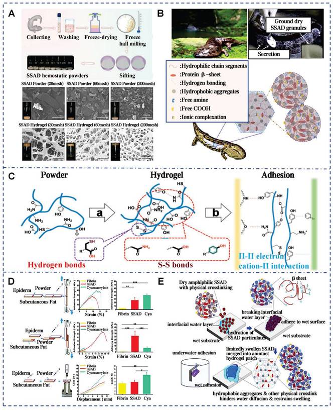 Theranostics Image