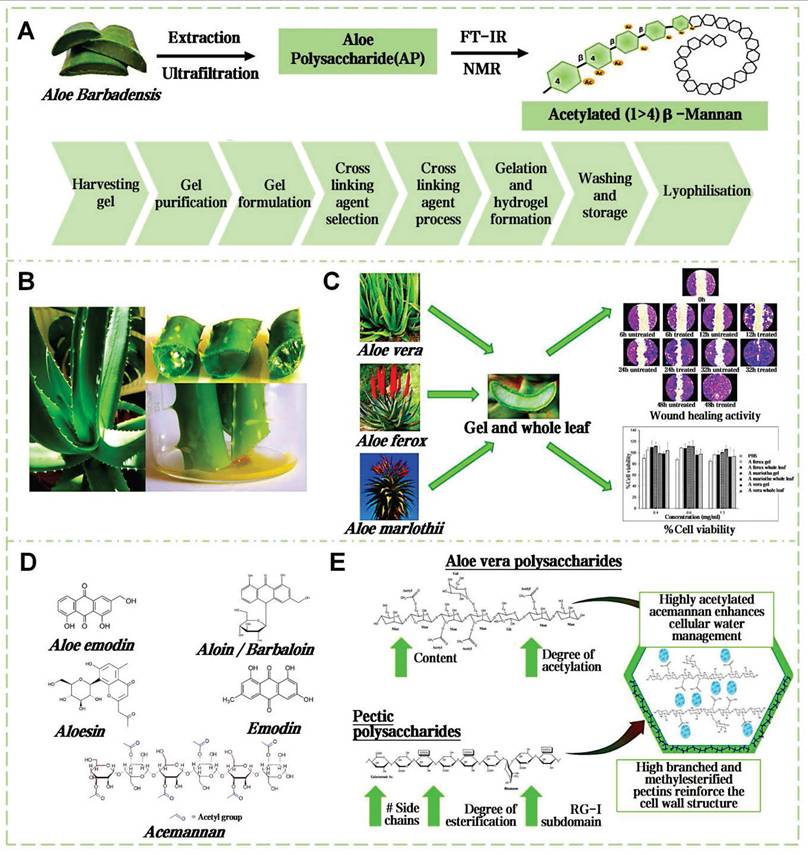 Theranostics Image