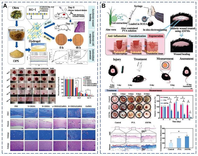 Theranostics Image