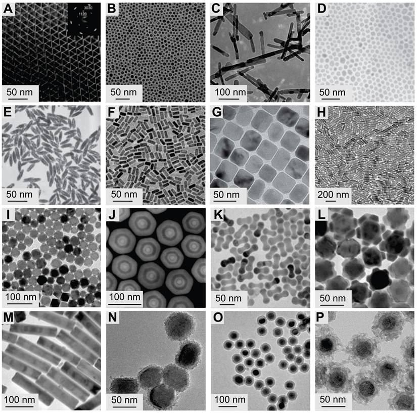 Theranostics Image
