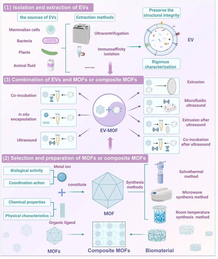 Theranostics Image