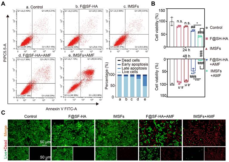 Theranostics Image