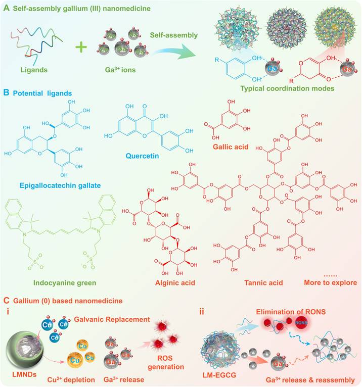 Theranostics Image