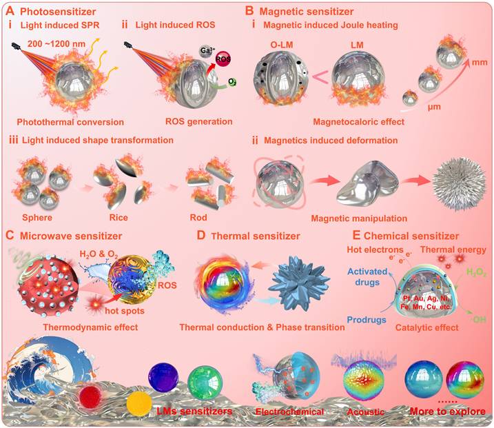 Theranostics Image