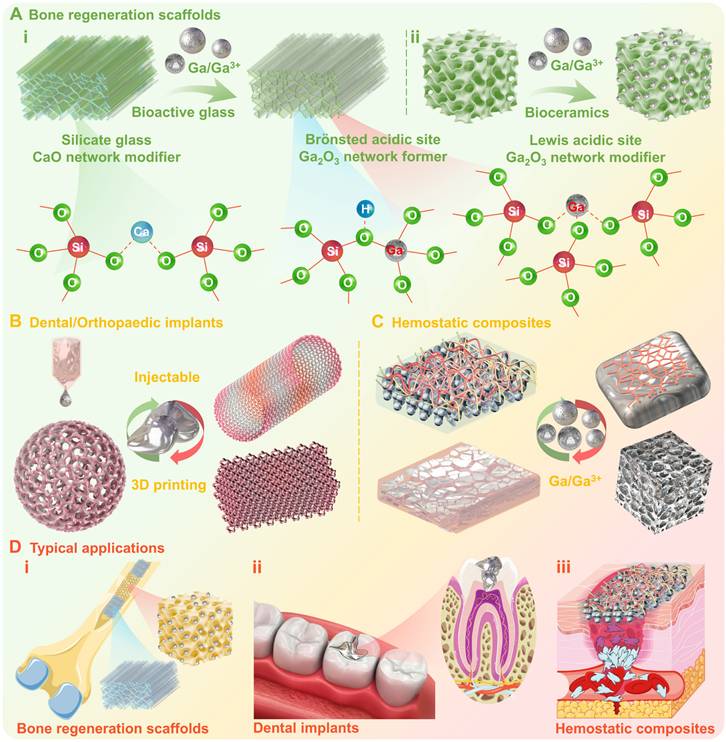 Theranostics Image