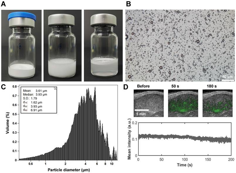 Theranostics Image