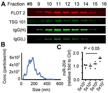 Theranostics Image