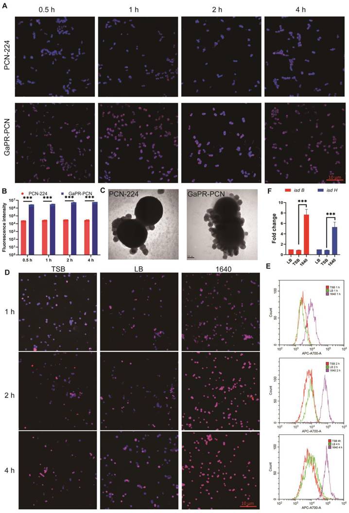 Theranostics Image