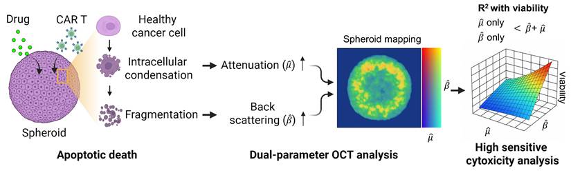Theranostics Image