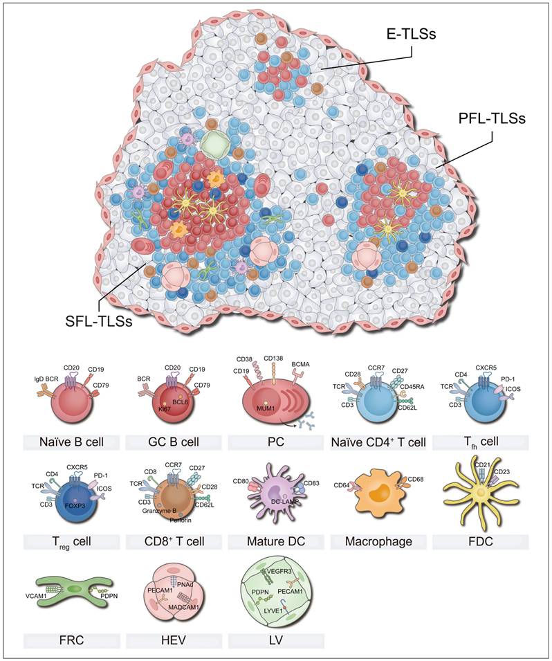 Theranostics Image